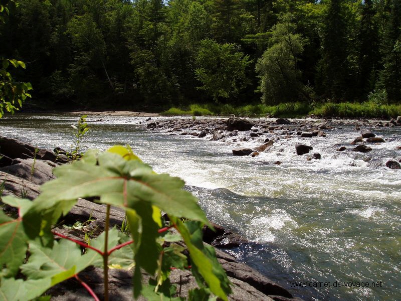 carnetdevoyage_canada_québec_naturequebecoise quebec Rivière du Lièvre