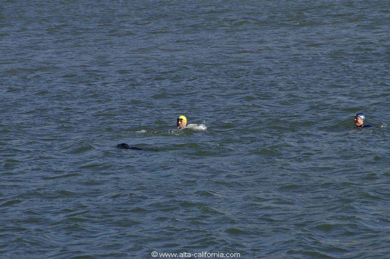 californie_california_sanfrancisco_aquaticparkbeach