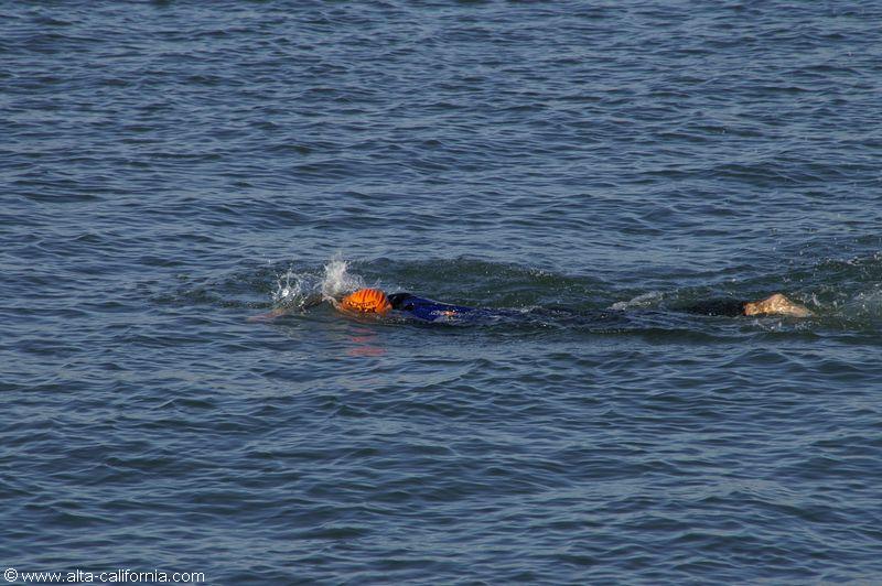 californie_california_sanfrancisco_aquaticparkbeach