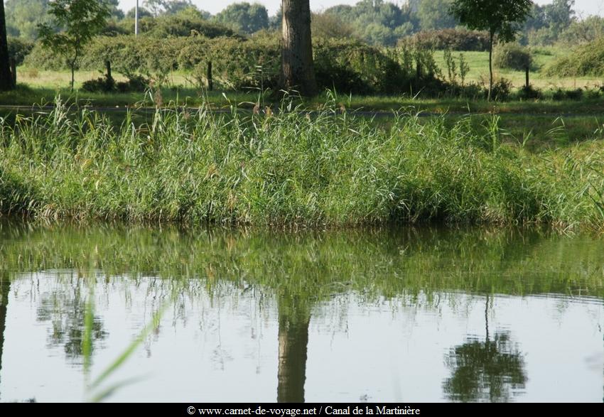 www.carnet-de-voyage.net_bretagne_basseloire_canaldelamartinier