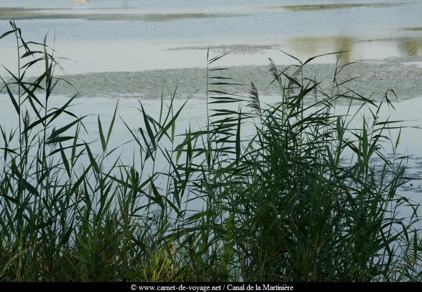 www.carnet-de-voyage.net_bretagne_basseloire_canaldelamartinier