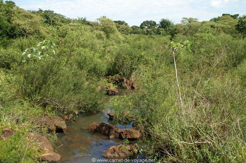 carnetdevoyage_brésil_brazil_brasil_chutesdiguaçu_iguacufalls_cataratasdoiguaçu_parquedoiguazu_gargantadeldiablo