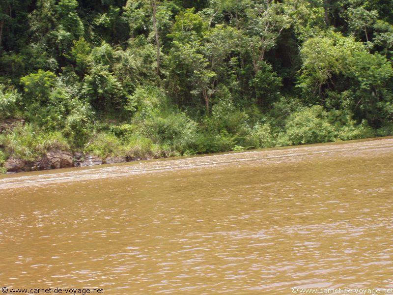 carnetdevoyage_brésil_brazil_brasil_chutesdiguaçu_iguacufalls_cataratasdoiguaçu