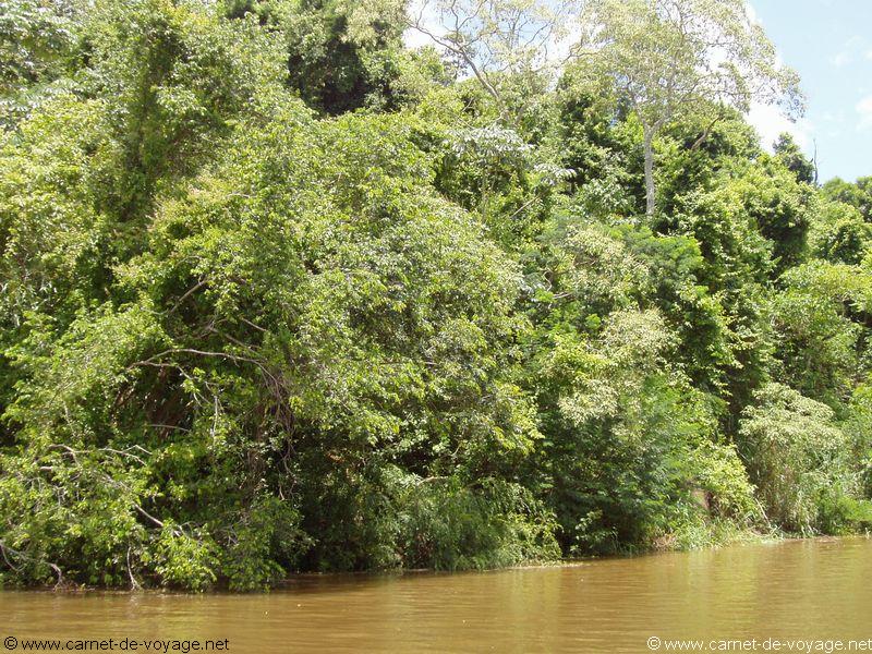 carnetdevoyage_brésil_brazil_brasil_chutesdiguaçu_iguacufalls_cataratasdoiguaçu