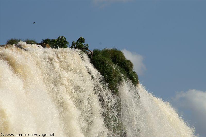 carnetdevoyage_brésil_brazil_brasil_chutesdiguaçu_iguacufalls_cataratasdoigaçu_iguazu_amazonie_amazonia