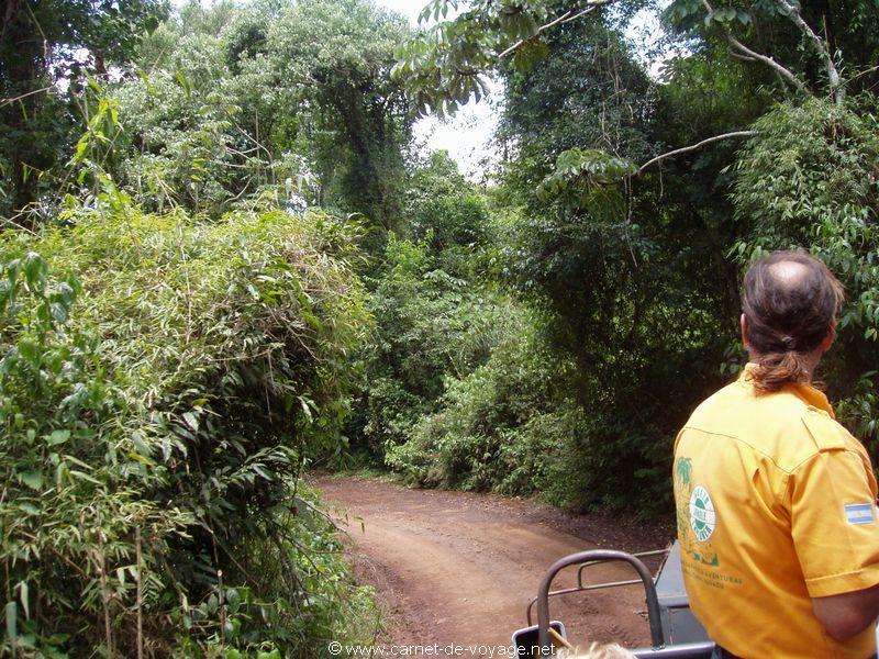 carnetdevoyage_brésil_brazil_brasil_chutesdiguaçu_iguacufalls_cataratasdoiguaçu_amazonia