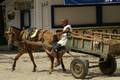 carnetdevoyage_brésil_brasil_brazil_paraty_parati