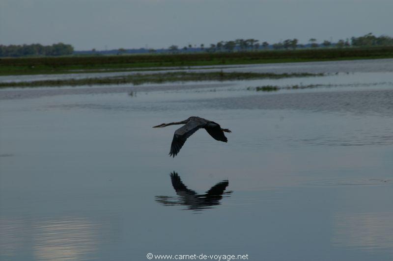 carnetdevoyage_floride_florida_airboatride_