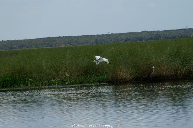 carnetdevoyage_floride_florida_airboatride_