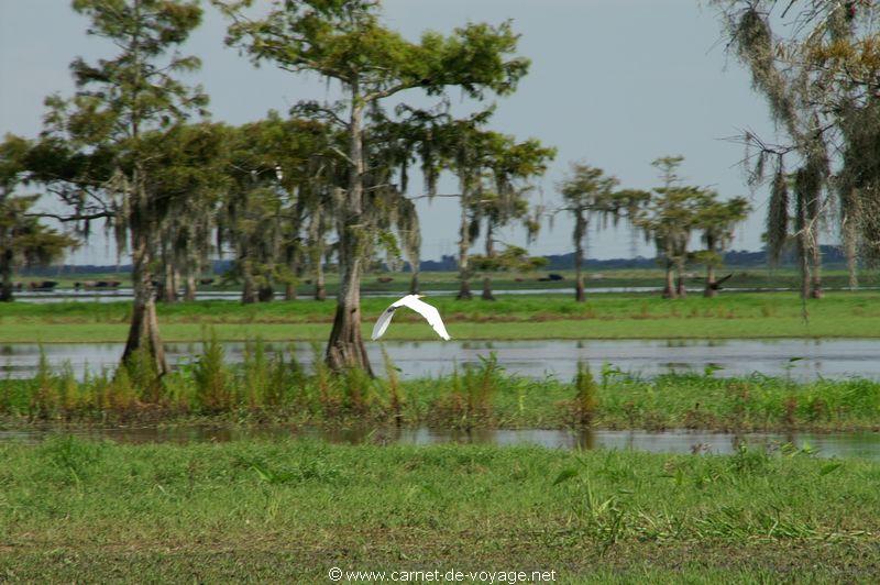 carnetdevoyage_floride_florida_airboatride_