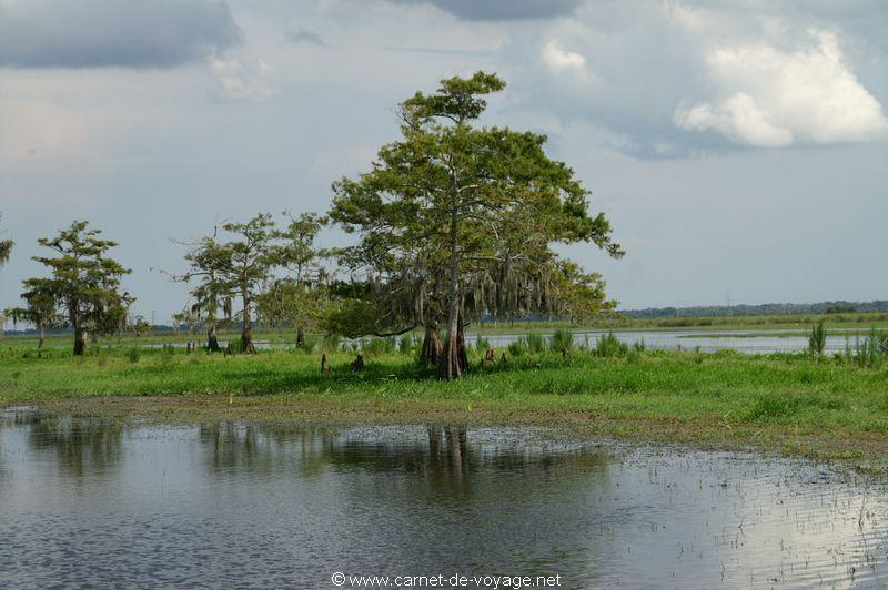 carnetdevoyage_floride_florida_airboatride_cyprs