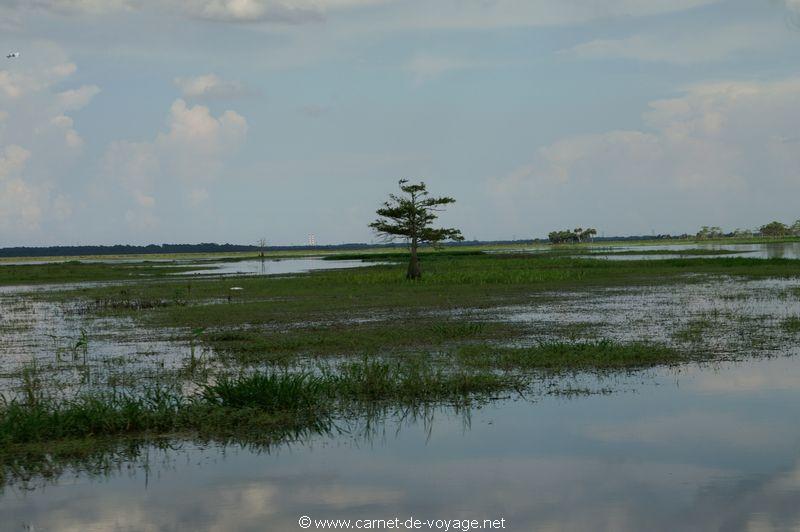 carnetdevoyage_floride_florida_airboatride_cyprs