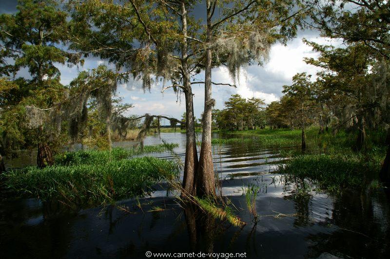 carnetdevoyage_floride_florida_airboatride_cyprs