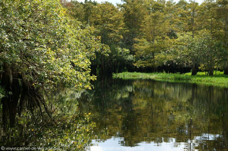 carnetdevoyage_floride_florida_airboatride_cyprs