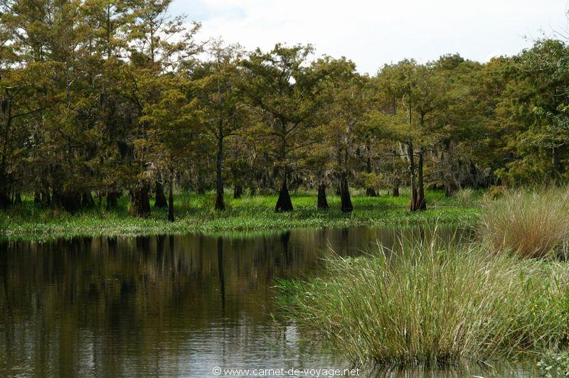 carnetdevoyage_floride_florida_airboatride_cyprs