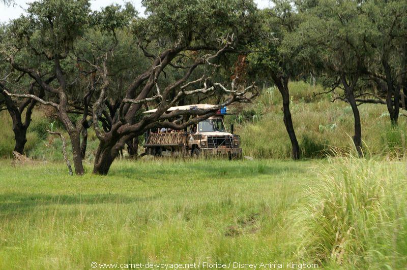 carnetdevoyage_floride_florida_orlando_disneyworld_animalkingdom