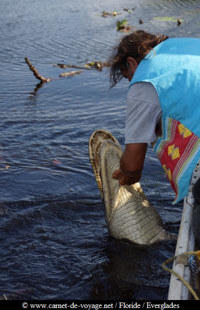 carnetdevoyage_floride_florida_everglades_miccosukee_nativeamerican_indien_alligator