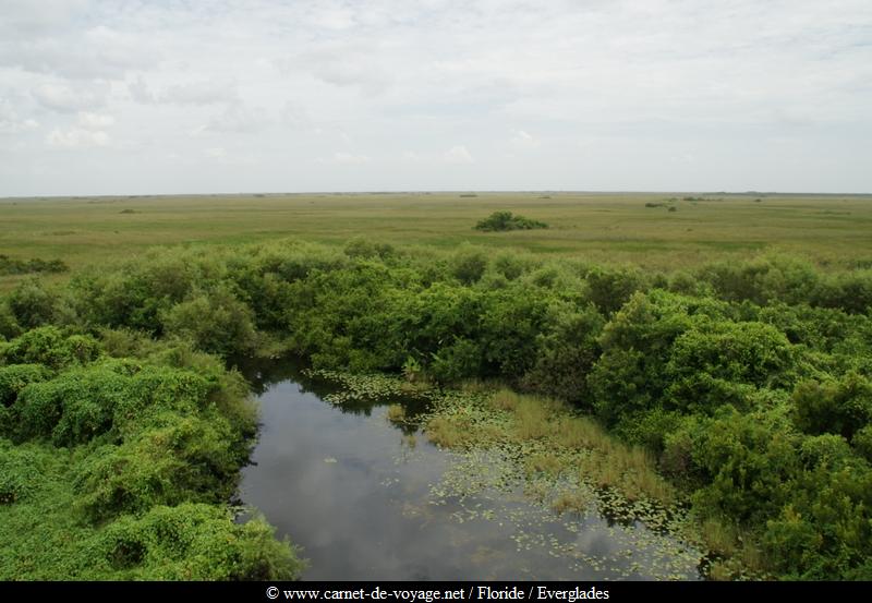 carnetdevoyage_floride_florida_everglades_nationalpark_sharkvalley_