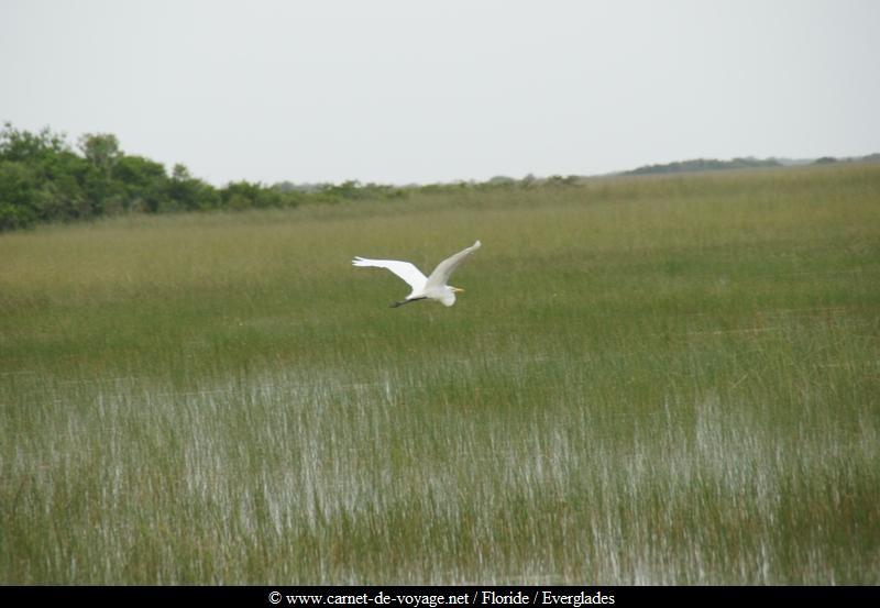 carnetdevoyage_floride_florida_everglades_nationalpark_sharkvalley_