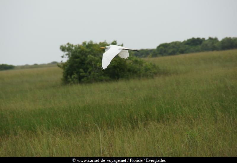 carnetdevoyage_floride_florida_everglades_nationalpark_sharkvalley_