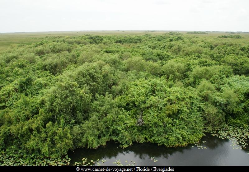 carnetdevoyage_floride_florida_everglades_nationalpark_sharkvalley_