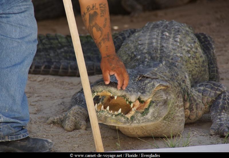 carnetdevoyage_floride_florida_everglades_miccosukee_nativeamerican_indien_alligator