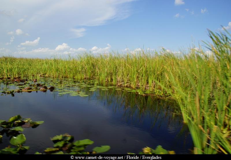 carnetdevoyage_floride_florida_everglades_miccosukee_nativeamerican_indien_alligator