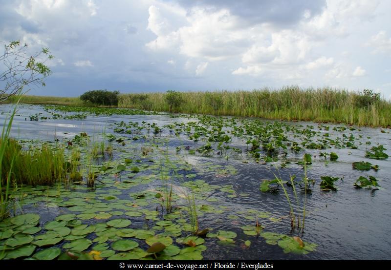 carnetdevoyage_floride_florida_everglades_miccosukee_nativeamerican_indien_alligator