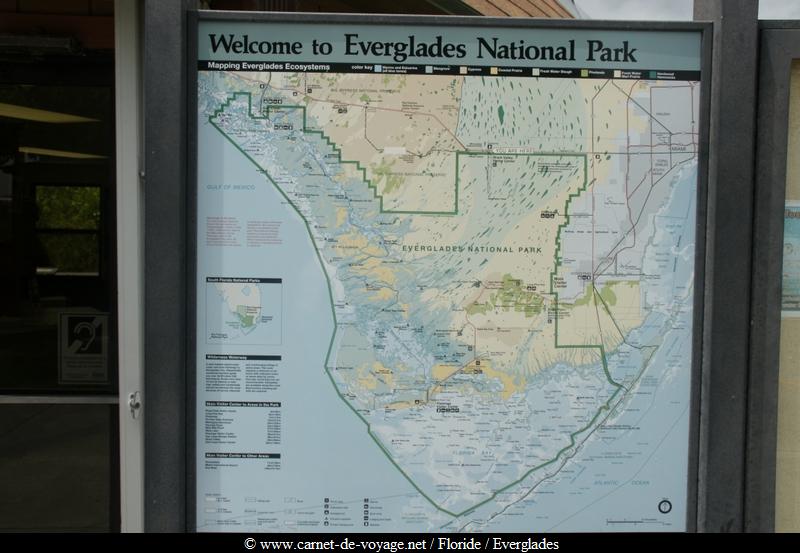 carnetdevoyage_floride_florida_everglades_nationalpark_sharkvalley_alligator