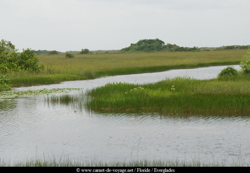 carnetdevoyage_floride_florida_everglades_nationalpark_sharkvalley_