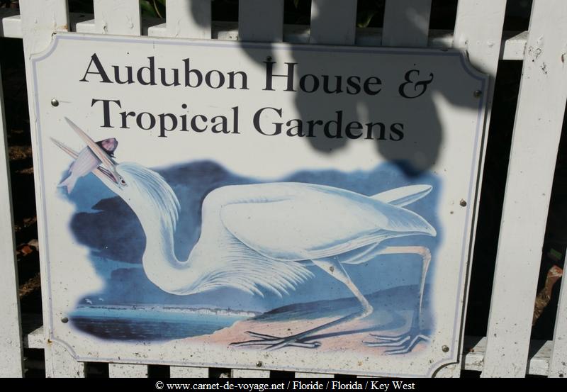 http://www.carnet-de-voyage.net_floride_florida_keywest_audubon