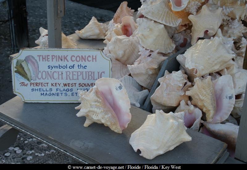 http://www.carnet-de-voyage.net_floride_florida_keywest_conch_conque_coquillage