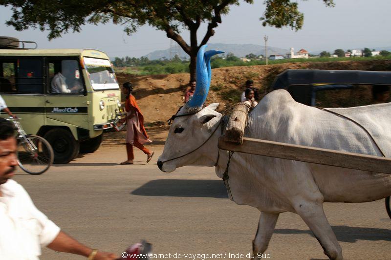 carnetdevoyage_inde_indedusud_tamilnadu