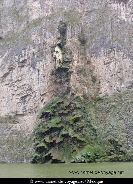 carnetdevoyage_mexique_mexico_canyon_sumidero le "sapin de Noël"