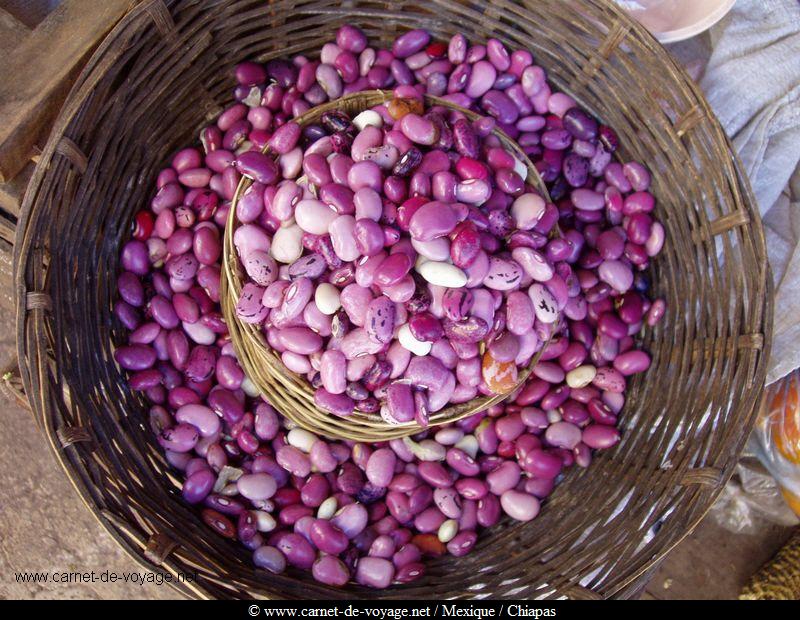 haricos violets san cristobal de las casas chiapas mexique