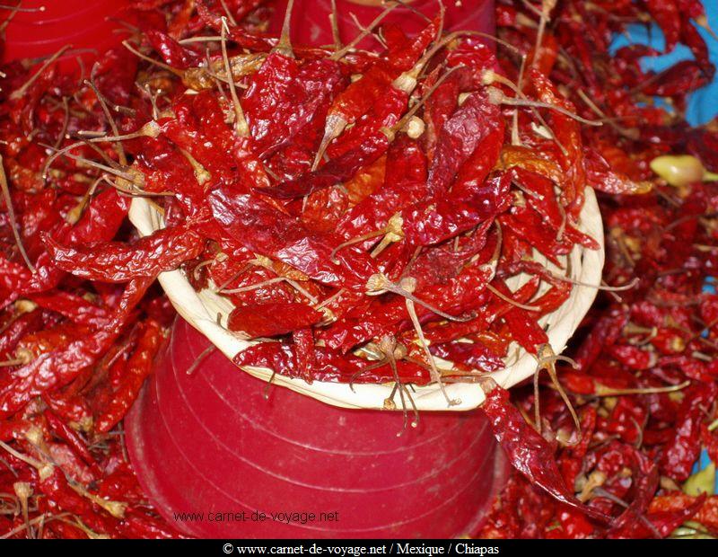 piments rouges san cristobal de las casas chiapas mexique
