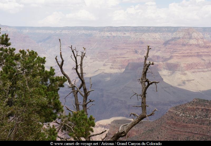 carnetdevoyage_arizona_desert_grandcanyon_colorado_nationalpark