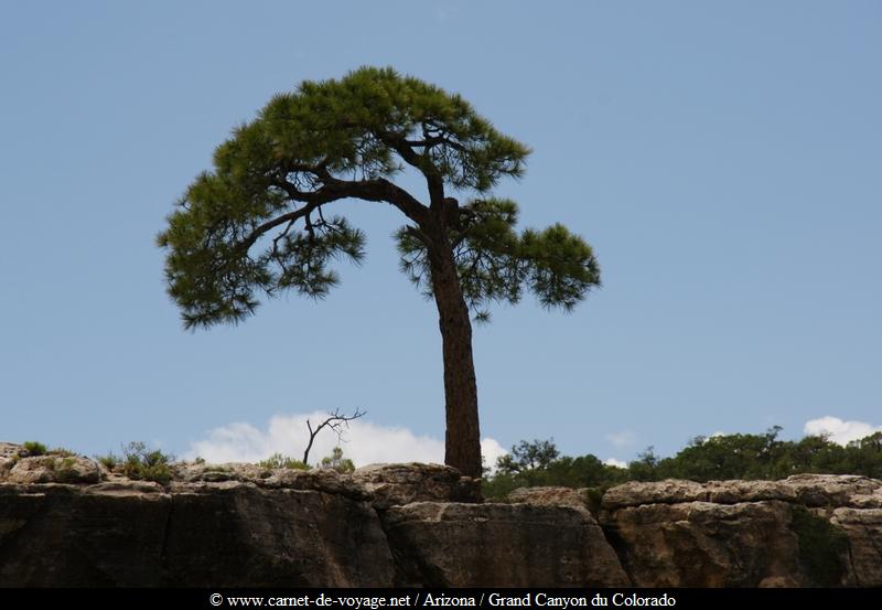 carnetdevoyage_arizona_desert_grandcanyon_colorado_nationalpark