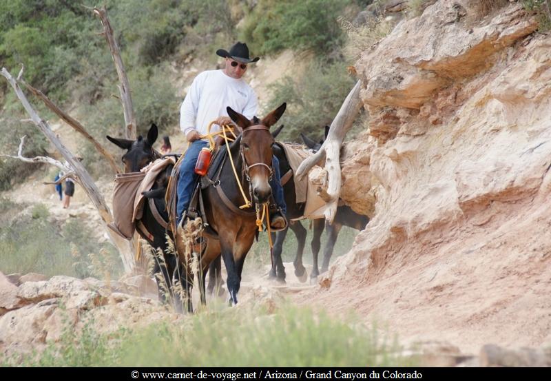 carnetdevoyage_arizona_desert_grandcanyon_colorado_nationalpark