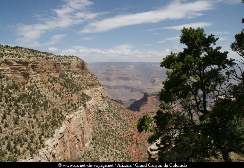 carnetdevoyage_arizona_desert_grandcanyon_colorado_nationalpark