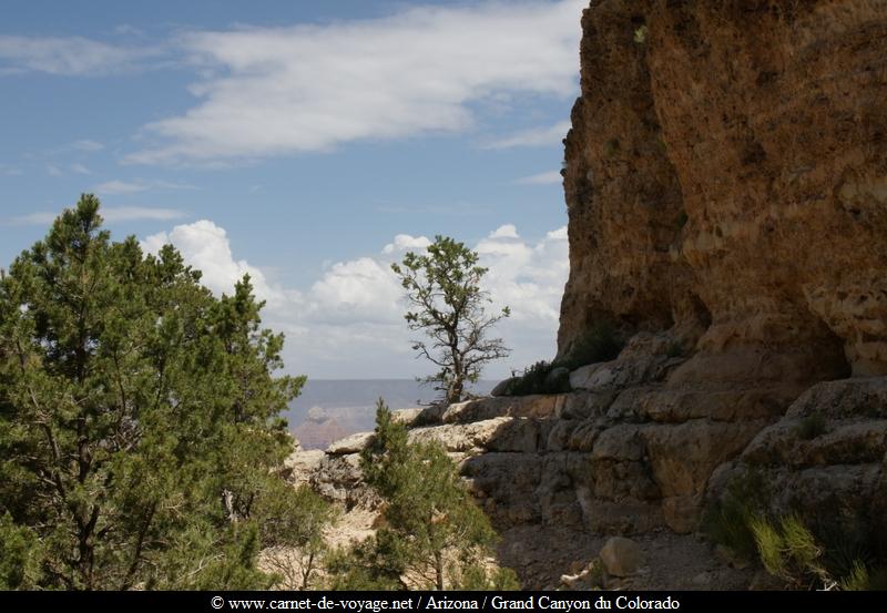 carnetdevoyage_arizona_desert_grandcanyon_colorado_nationalpark