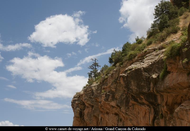 carnetdevoyage_arizona_desert_grandcanyon_colorado_nationalpark