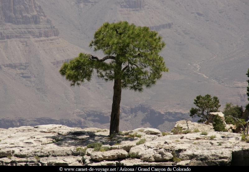 carnetdevoyage_arizona_desert_grandcanyon_colorado_nationalpark