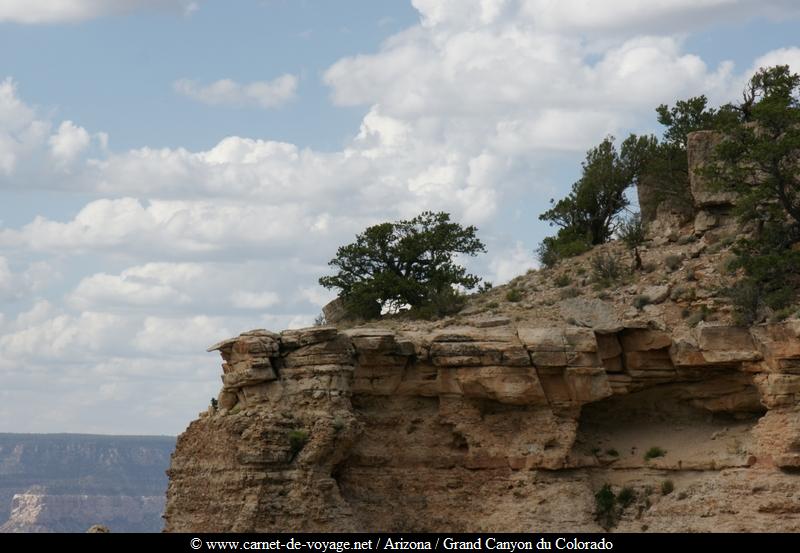 carnetdevoyage_arizona_desert_grandcanyon_colorado_nationalpark