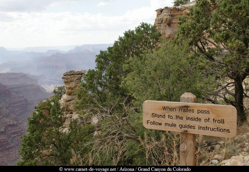 carnetdevoyage_arizona_desert_grandcanyon_colorado_nationalpark