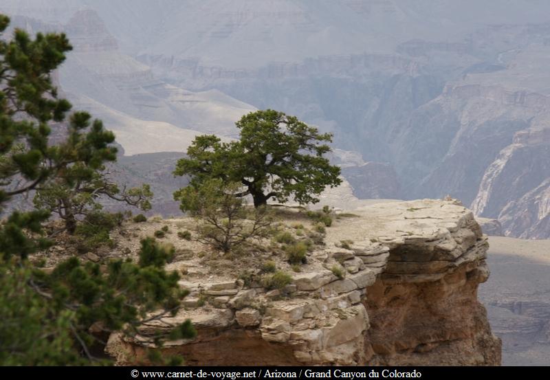 carnetdevoyage_arizona_desert_grandcanyon_colorado_nationalpark