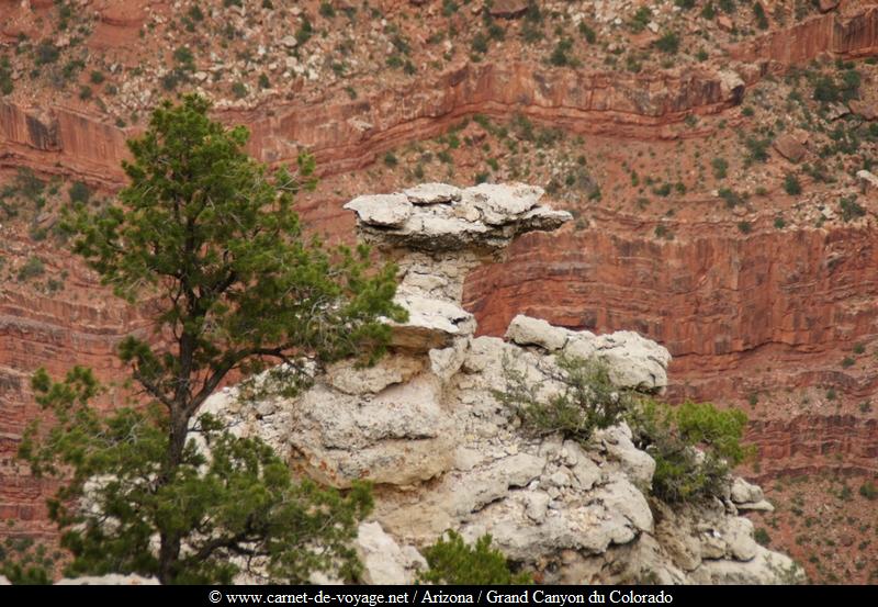 carnetdevoyage_arizona_desert_grandcanyon_colorado_nationalpark