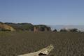 california_marinheadlands_rodeobeach