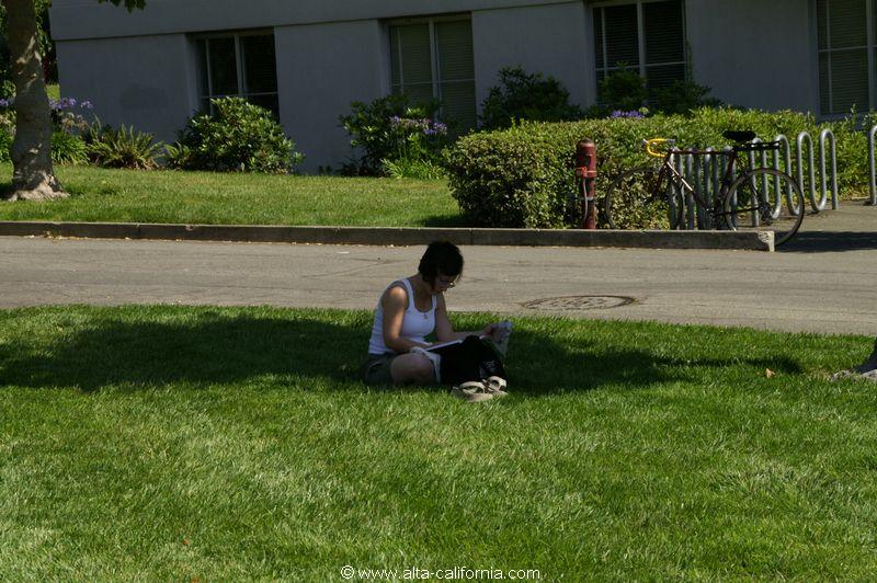 california_californie_berkeleyuniversity_universitédeberkeley_campusofberkeley