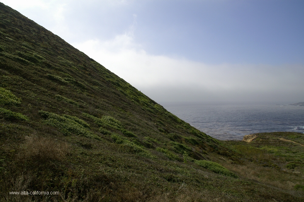 california,california 1 coastal road